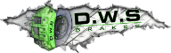 DWS Logo